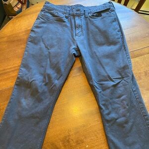 Men's Eddie Bauer Fleece Lined grey jeans 34x32